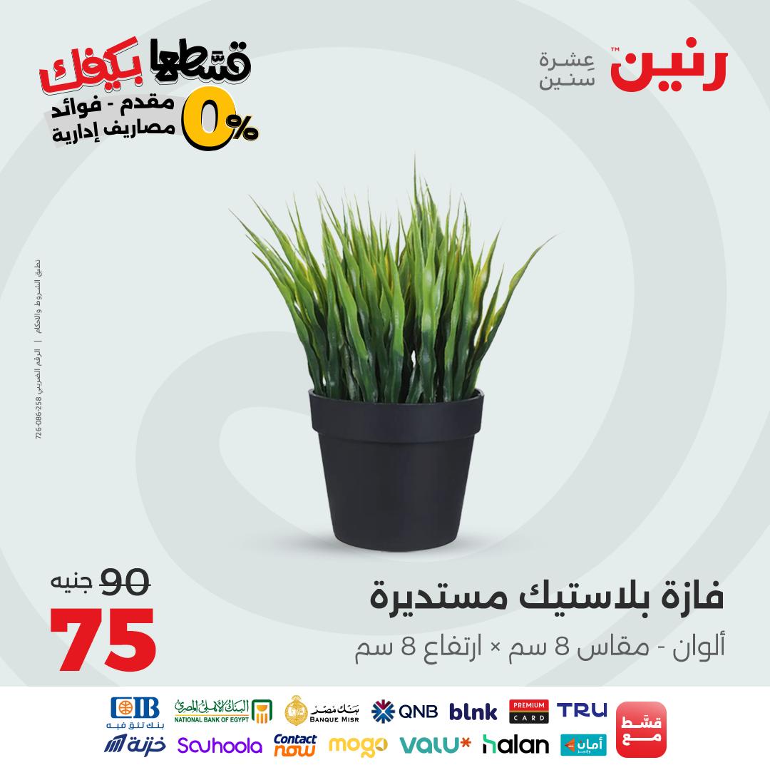 raneen offers from 9sep to 3sep 2025 عروض رنين من 9 سبتمبر حتى 3 سبتمبر 2025 صفحة رقم 65